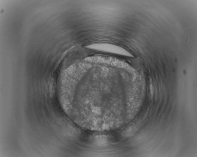 X0000088400228200706191405