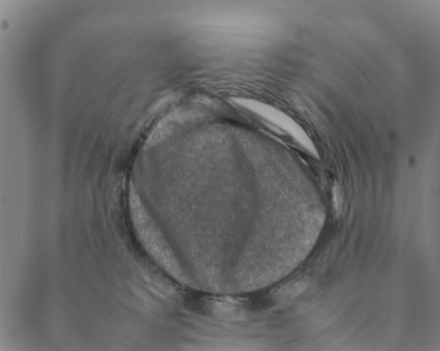 X0000088400229200706191405