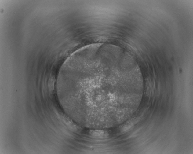 X0000088400230200706191405