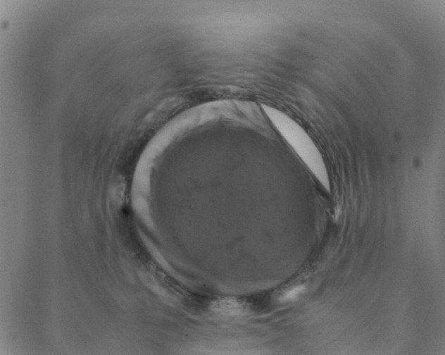 X0000088400231200706191405