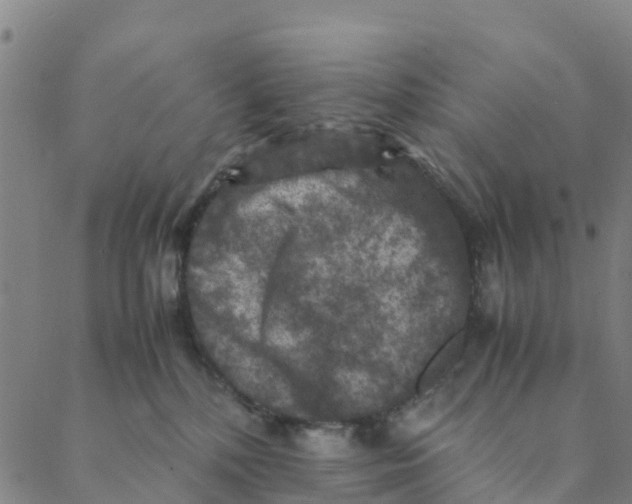 X0000088400232200706191405