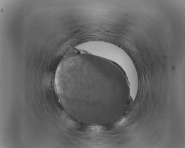 X0000088400233200706191405