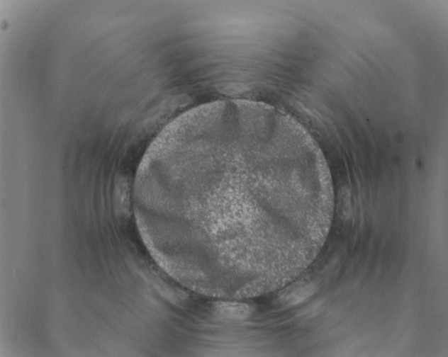 X0000088400234200706191405