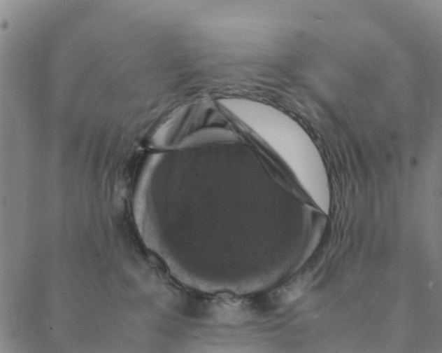 X0000088400235200706191405