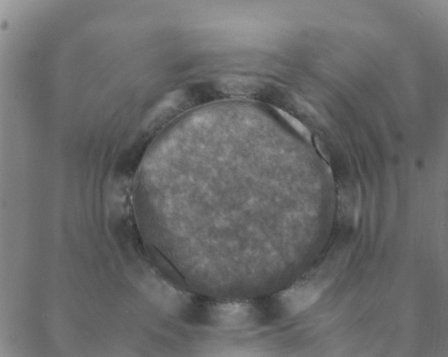 X0000088400237200706191405