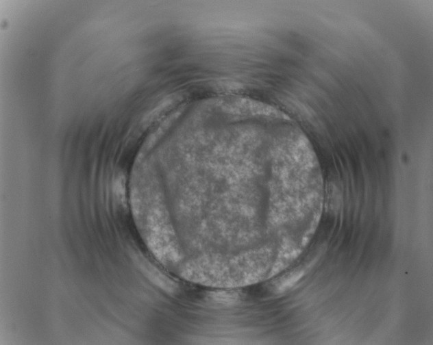 X0000088400238200706191405