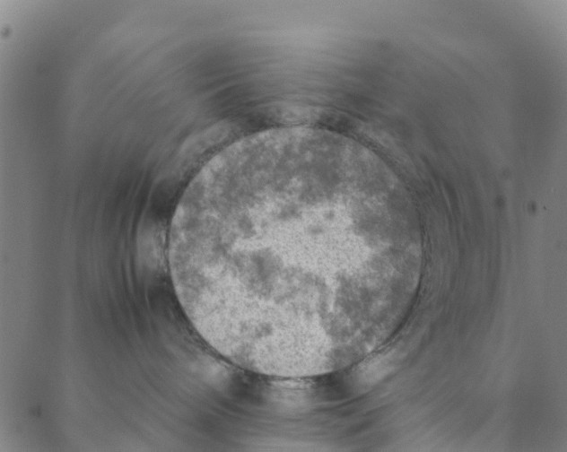 X0000088400240200706191405