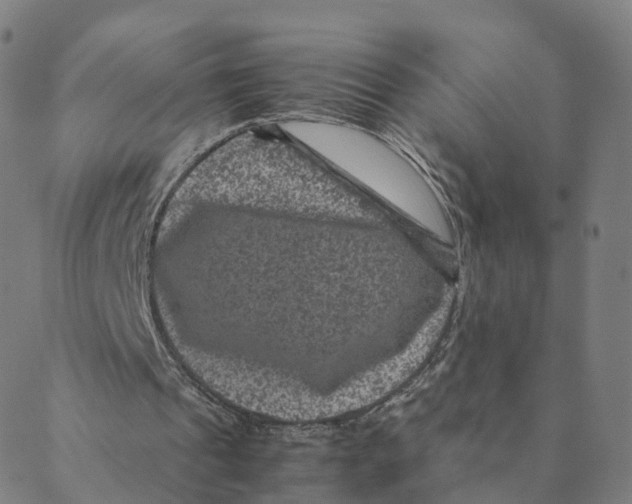 X0000088400241200706191404