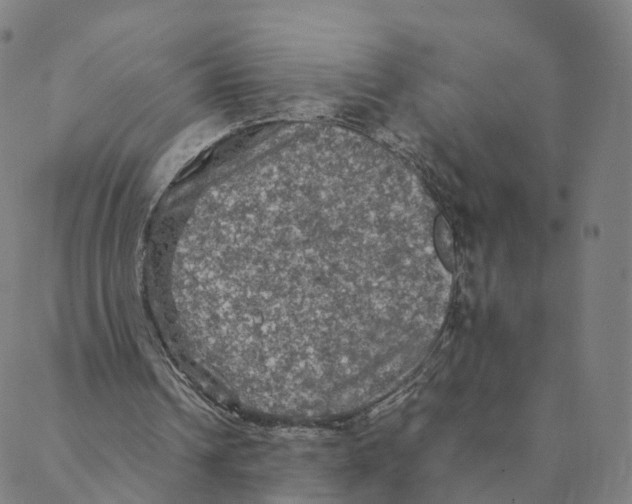 X0000088400242200706191404