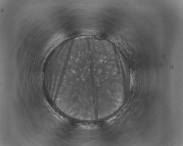 X0000088400243200706191404