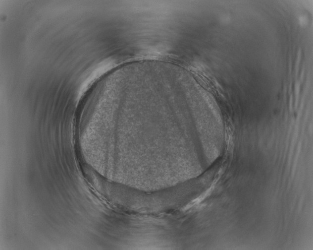 X0000088400244200706191404