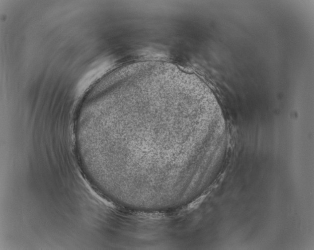 X0000088400245200706191404