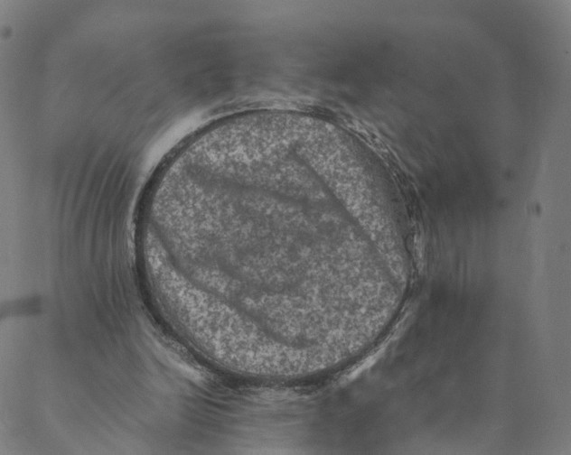 X0000088400246200706191404