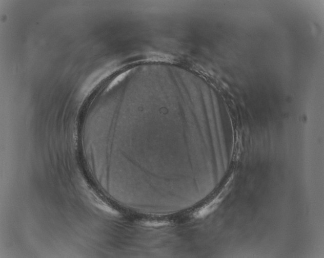 X0000088400247200706191404