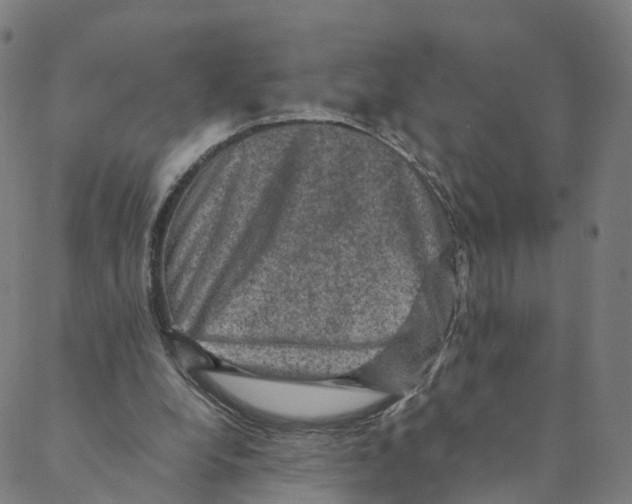 X0000088400248200706191404