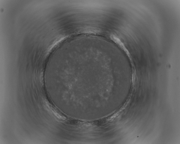 X0000088400249200706191404