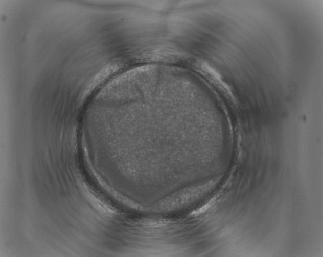 X0000088400250200706191404