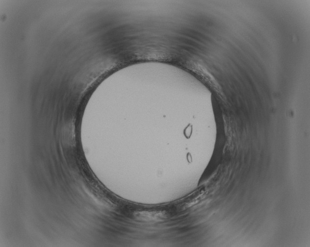 X0000088400251200706191404