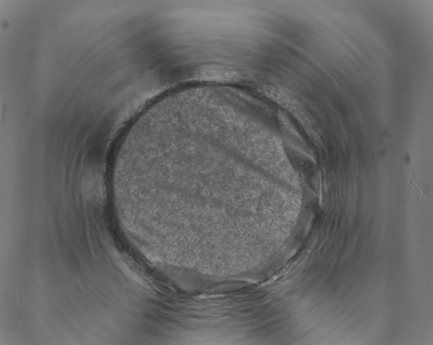 X0000088400252200706191404