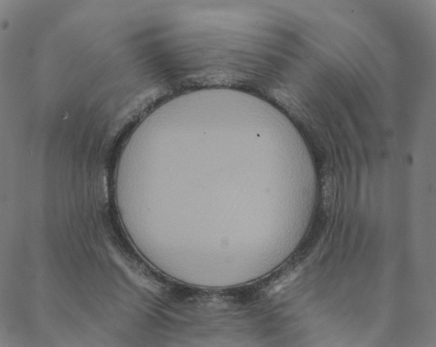 X0000088400254200706191405