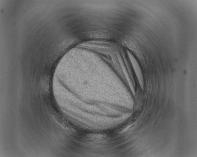 X0000088400255200706191405