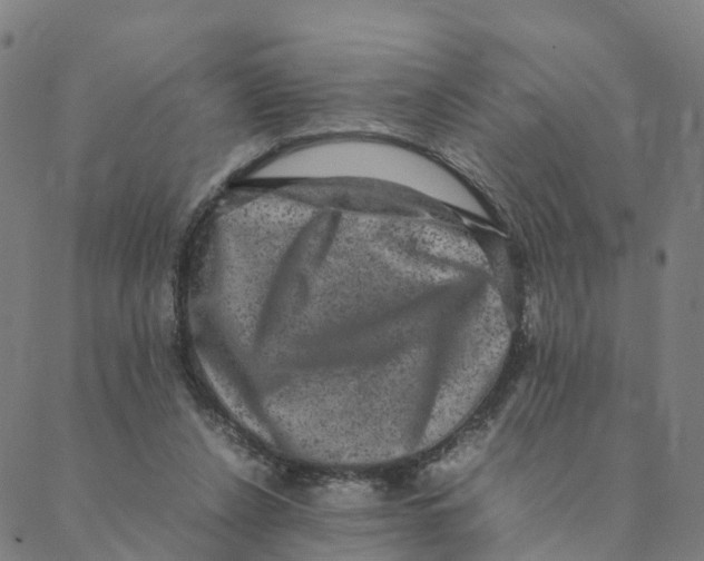 X0000088400256200706191405