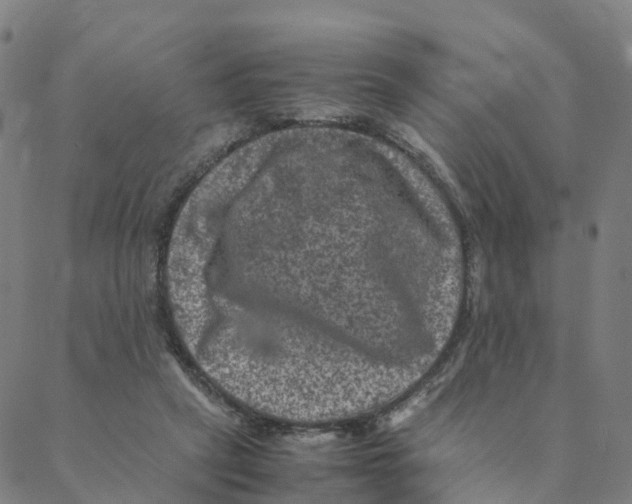 X0000088400257200706191405