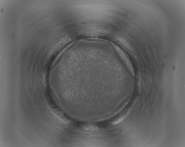 X0000088400258200706191405