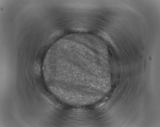 X0000088400259200706191405