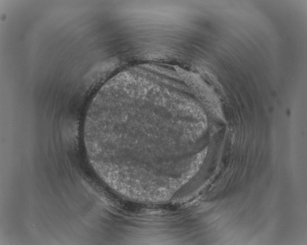 X0000088400260200706191405