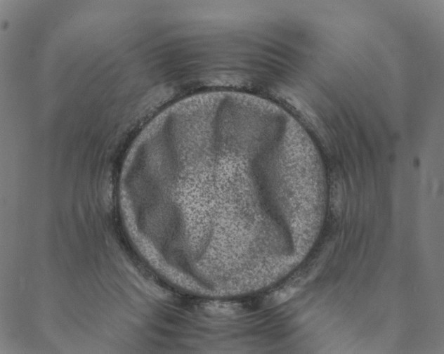 X0000088400261200706191405