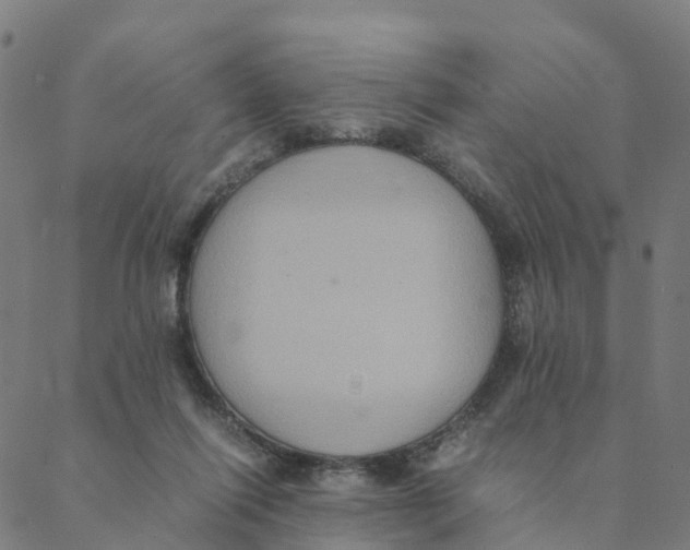 X0000088400262200706191405