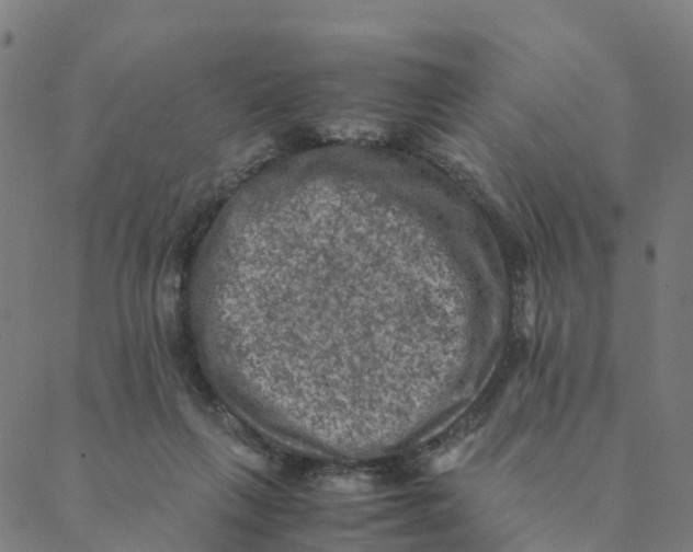 X0000088400263200706191405