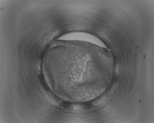 X0000088400264200706191405