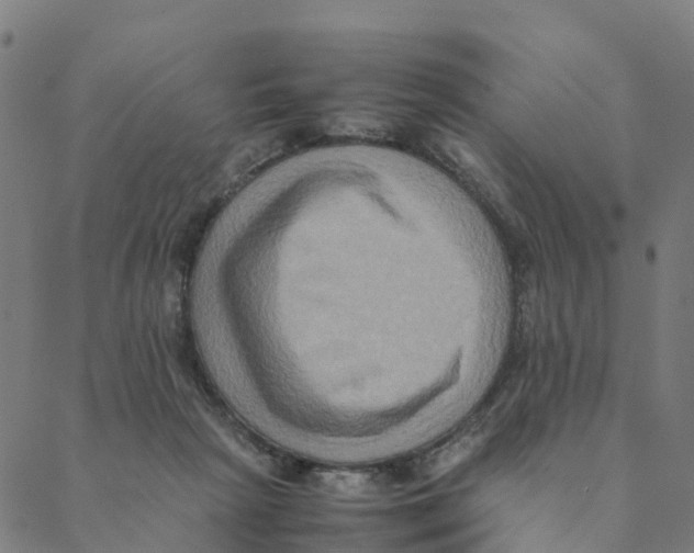 X0000088400265200706191405