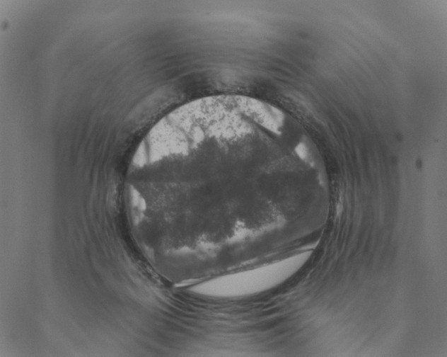 X0000088400266200706191405