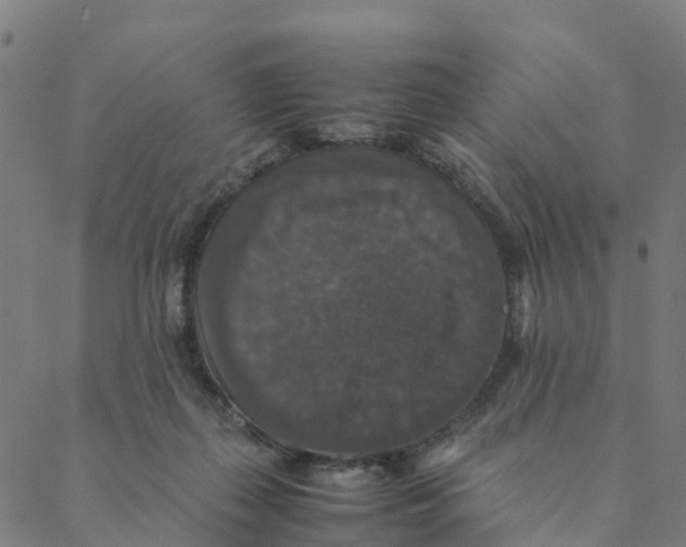 X0000088400267200706191405