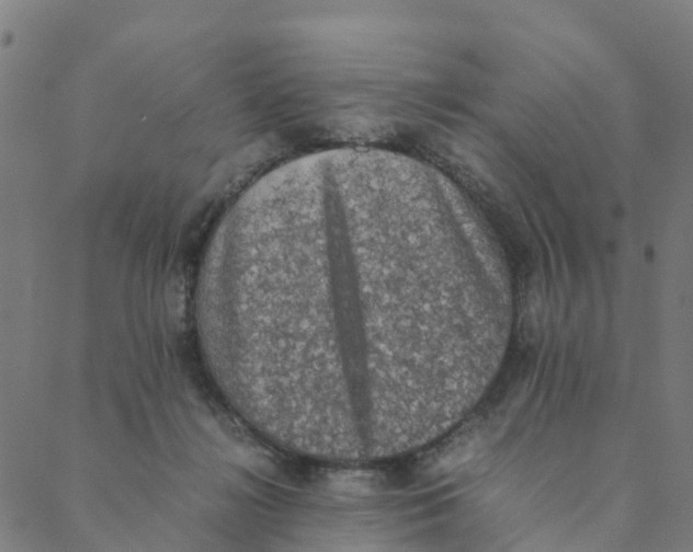 X0000088400268200706191405