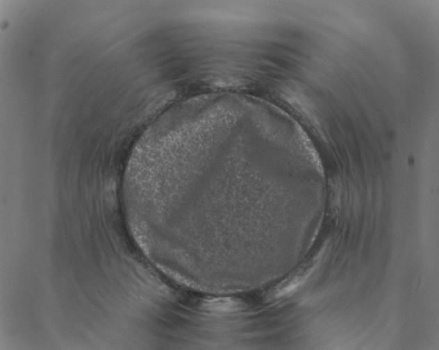 X0000088400269200706191405