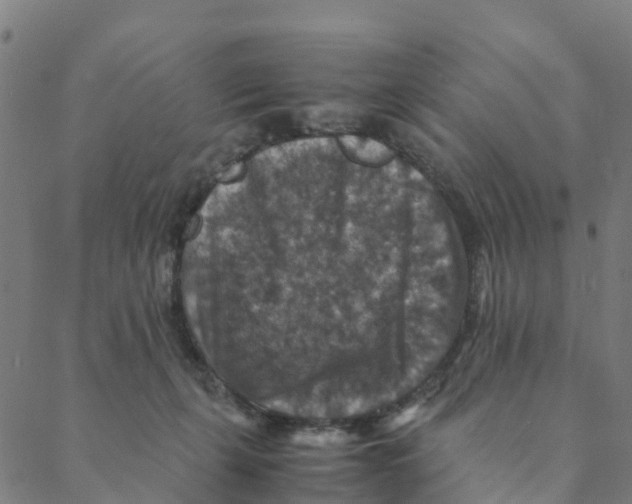 X0000088400271200706191405