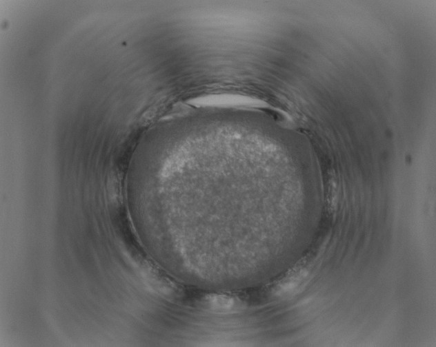 X0000088400272200706191405