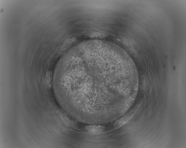 X0000088400273200706191405