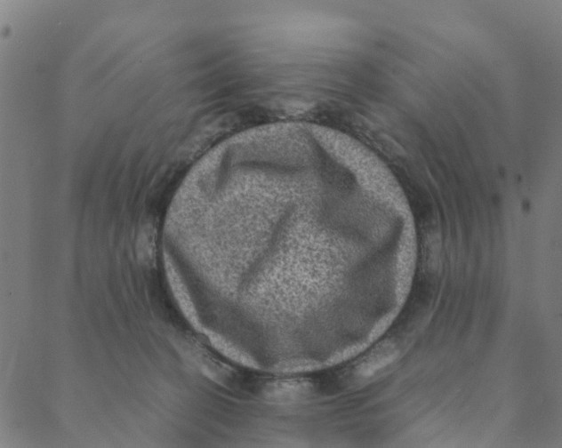 X0000088400274200706191405