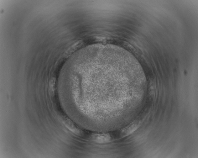 X0000088400275200706191405