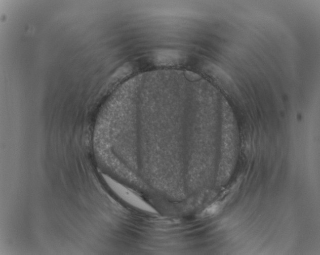 X0000088400277200706191405