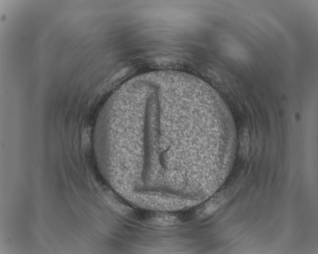 X0000088400278200706191405