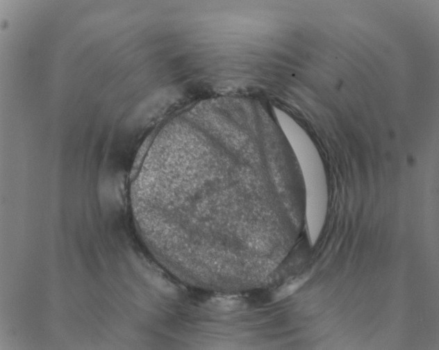 X0000088400280200706191405