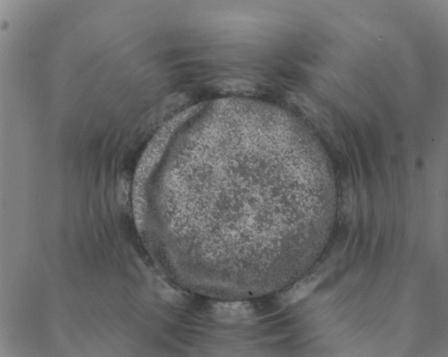 X0000088400281200706191405