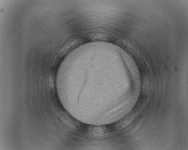 X0000088400282200706191405