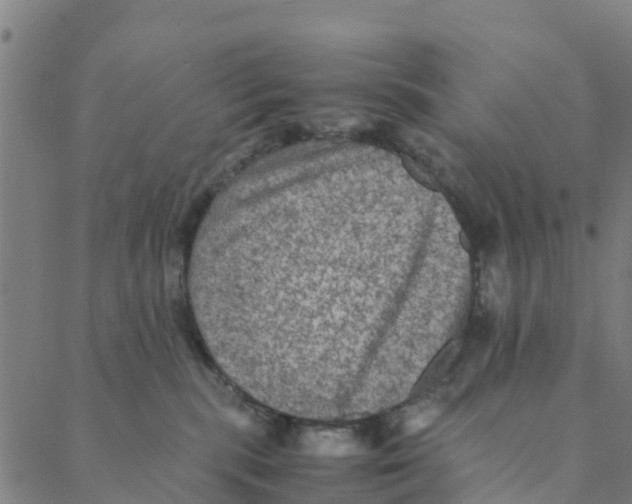 X0000088400283200706191405